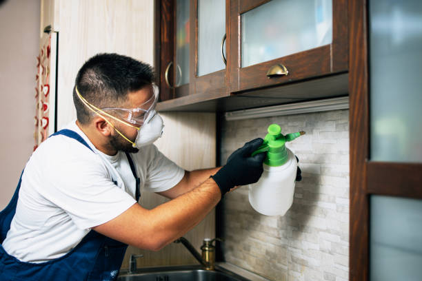 Best Wasp Removal Services  in Amelia, LA