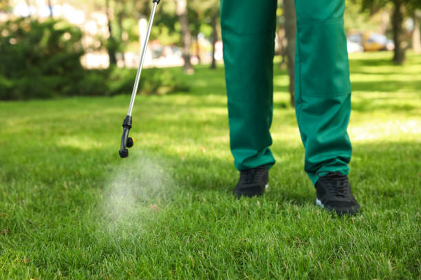 Best Best Pest Control Companies  in Amelia, LA