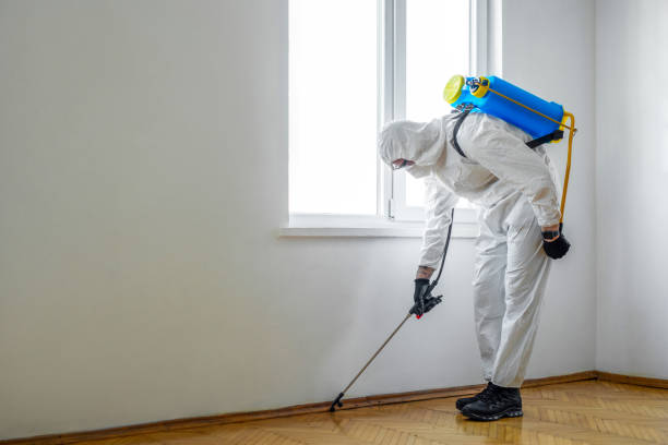 Best Best Pest Control Near Me  in Amelia, LA
