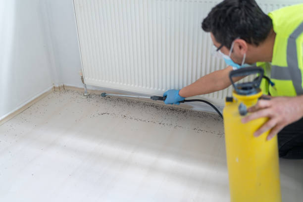 Best Mosquito Control Services  in Amelia, LA